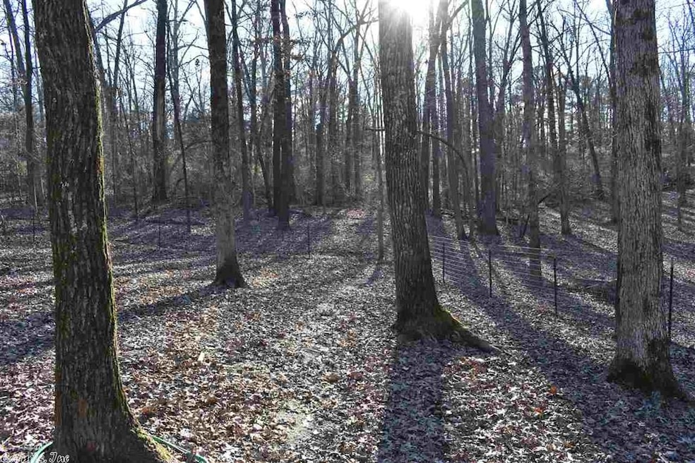 0 Cr 744, Jonesboro, AR 72401 - photo 1