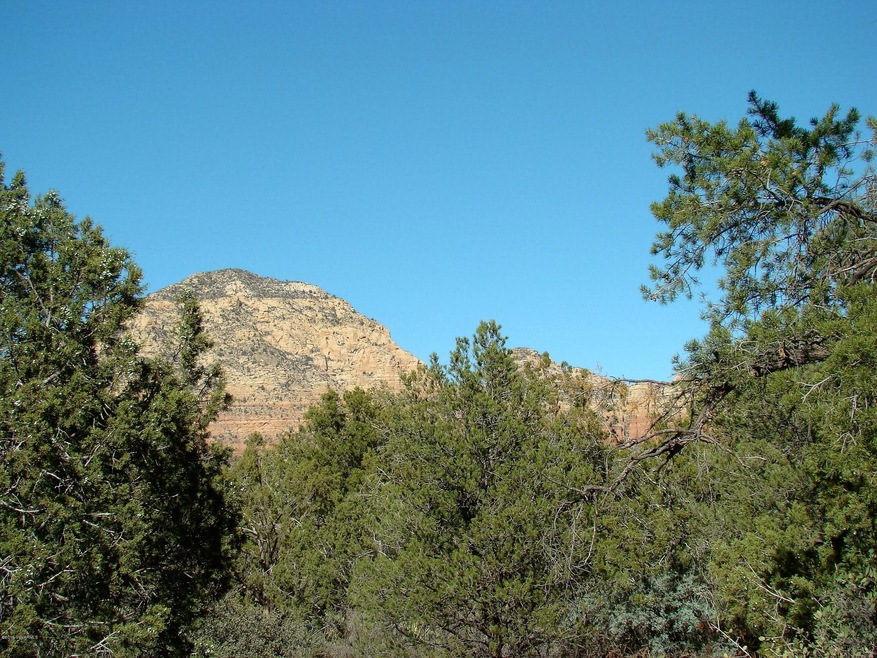 DSC06564