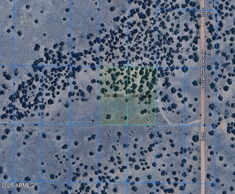 TBD Lot 53 & 54 -- unit 53, Adamana, AZ 85634 - photo 1