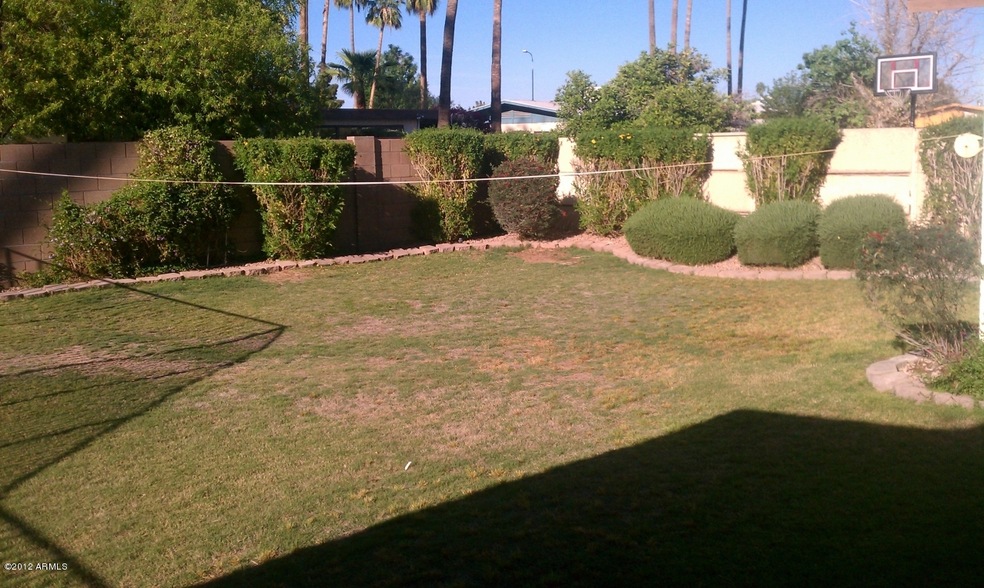 back yard