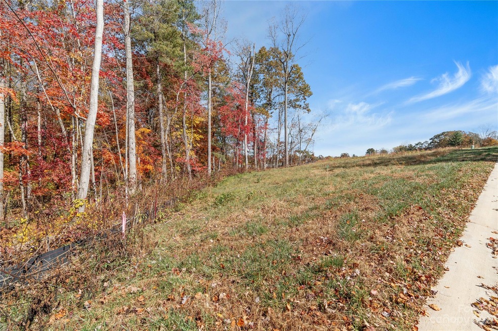 58 Scott Meadows Dr, Asheville, NC 28806 - photo 1