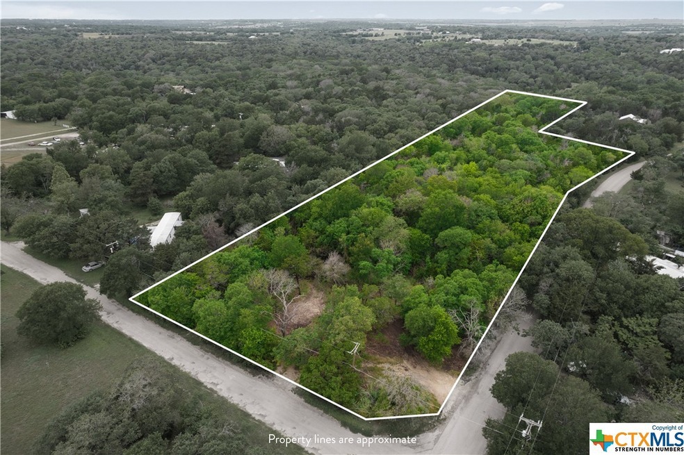 TBD Elesha Ln, Bruceville-Eddy, TX 76524 - photo 1