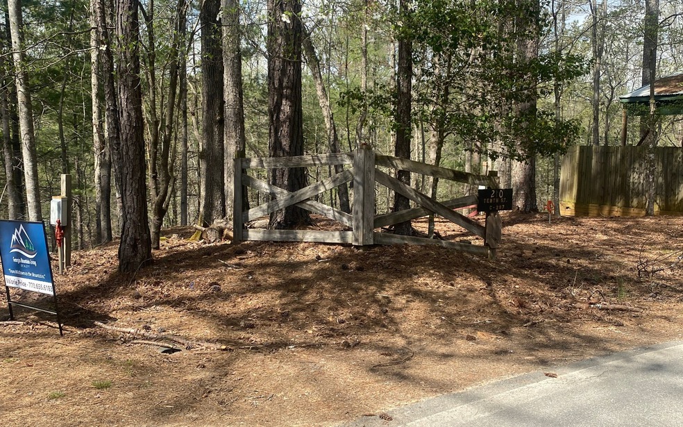 Main View