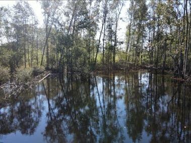 000 Magnolia Progress Rd, Magnolia, MS 39652 - photo 1