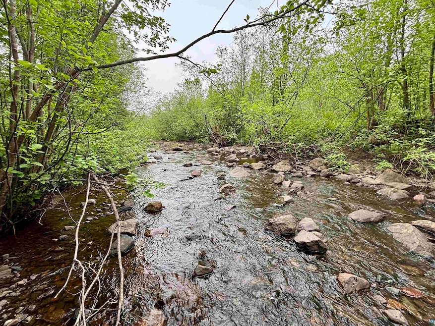 View of nature