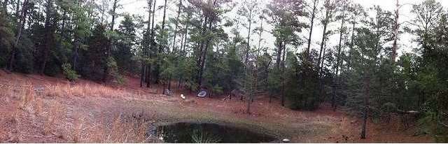 Land/Lot