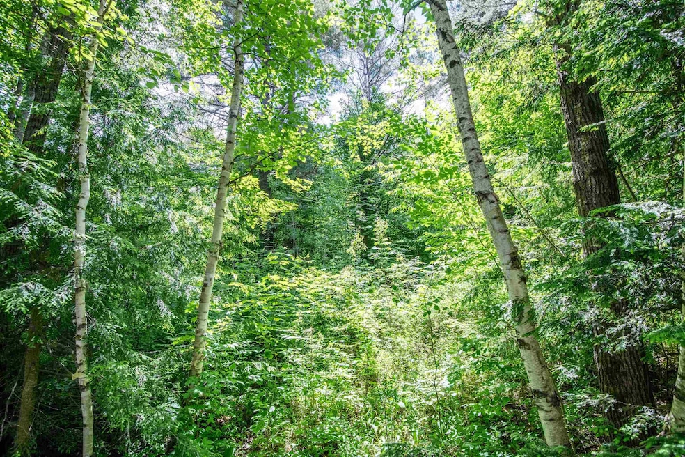 00 Hooke Rd, Ludlow, VT 05149 - photo 1