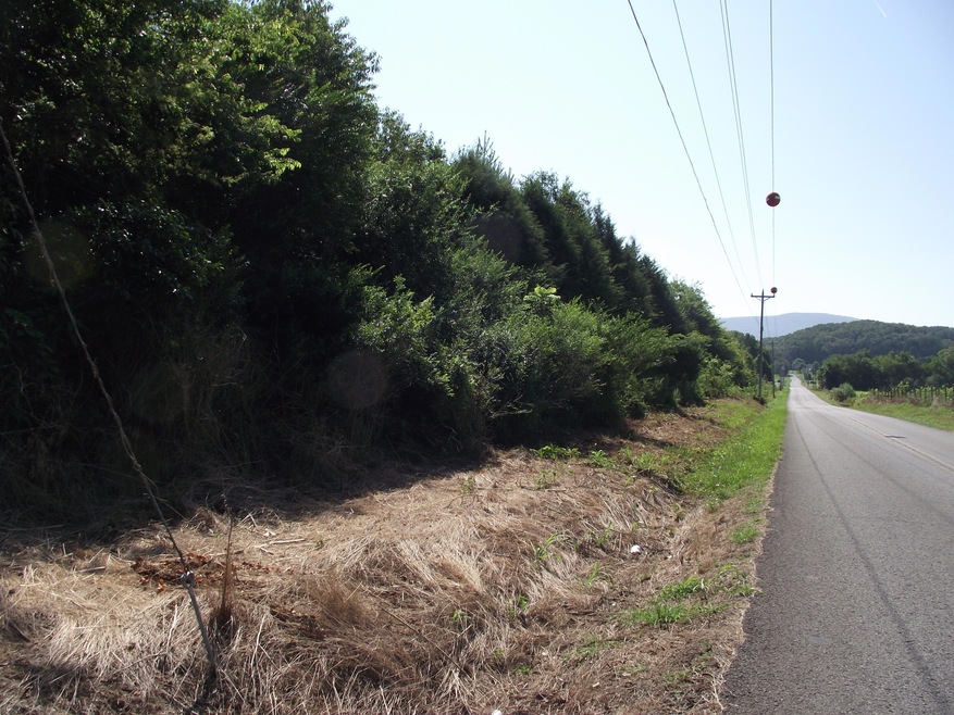 3.9 acres!