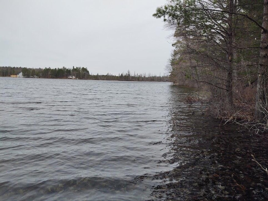 Marsh 3 - 4 --waterfront