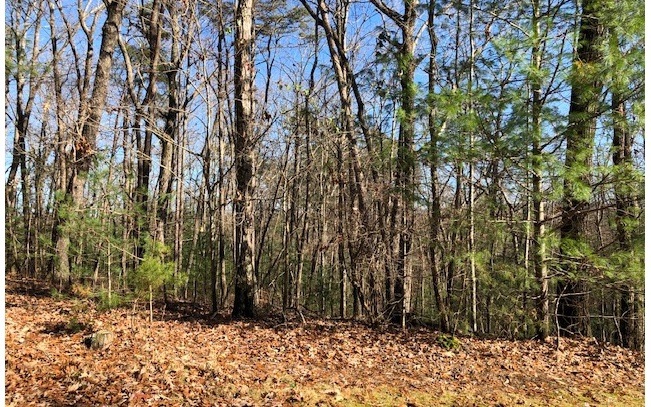 0 Abbott Top Rd unit 284034, Ellijay, GA 30540 - photo 1