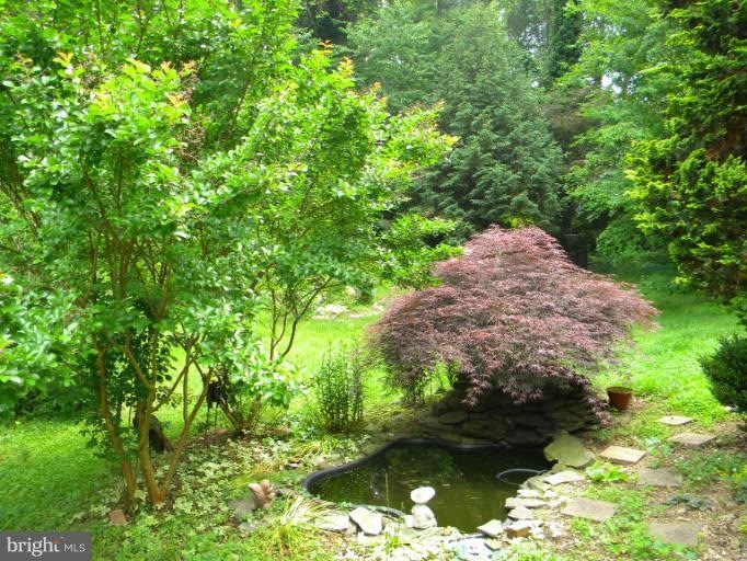 837 Chestnut Tree Dr, Annapolis, MD 21409 - photo 1