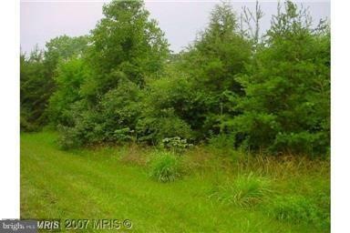 0 S Branch Rd unit 1000215873, Levels, WV 25431 - photo 1