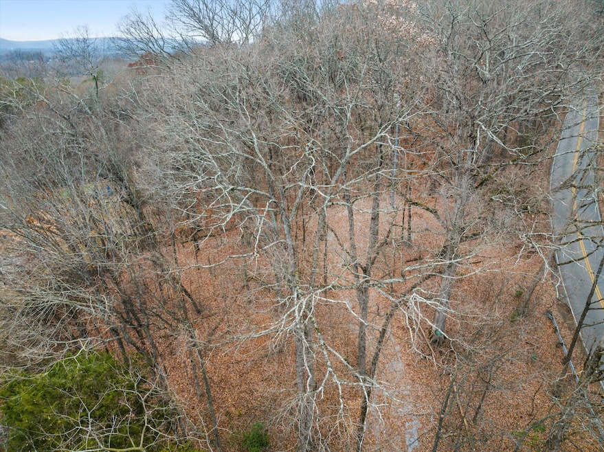 0 Hamill Rd unit RTC2969382, Chattanooga, TN 37343 - photo 1