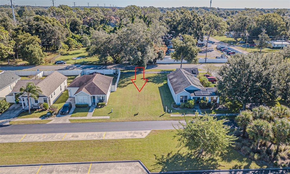 6523 Victorian Way, Zephyrhills, FL 33542 - photo 1