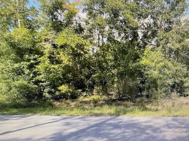 2265 SW Admiral Landing Dr, Rainbow Lakes Estates, FL 34431 - photo 1