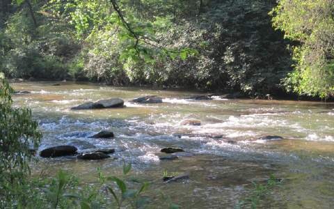 LOT22 Roaring Forks Ln, Ellijay, GA 30540 - photo 1