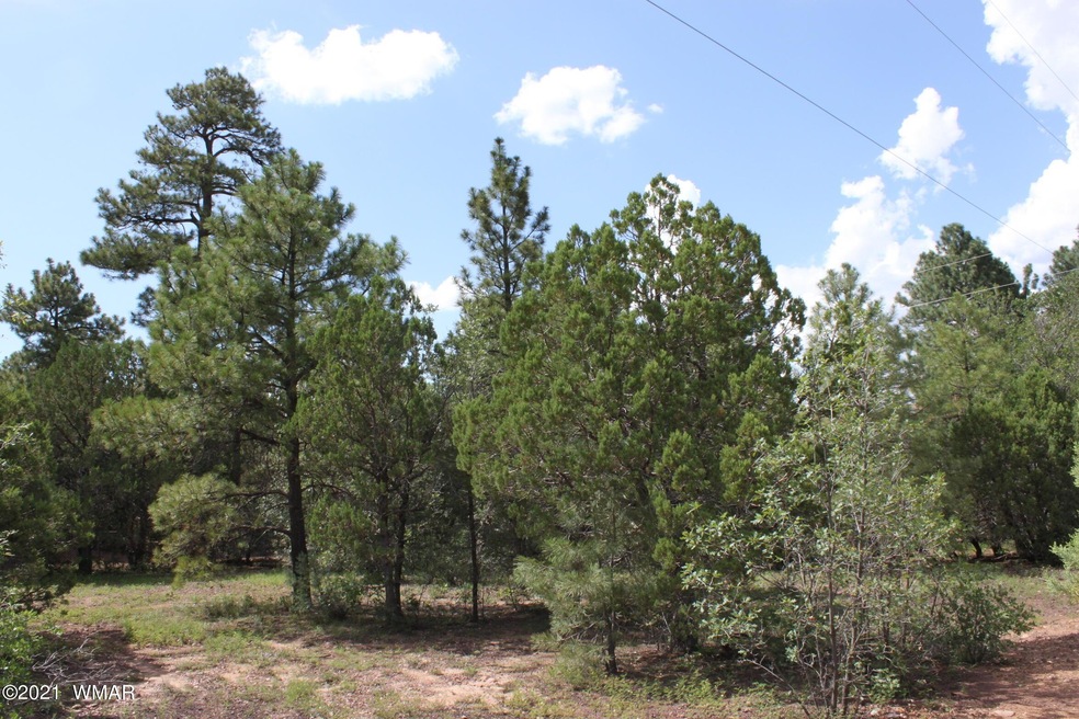 2612 Mescalero Dr, Show Low, AZ 85901 - photo 1