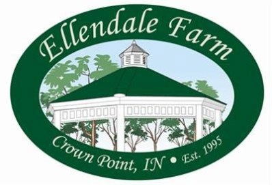 912 Lillian Russell Ct, Crown Point, IN 46307 - photo 1