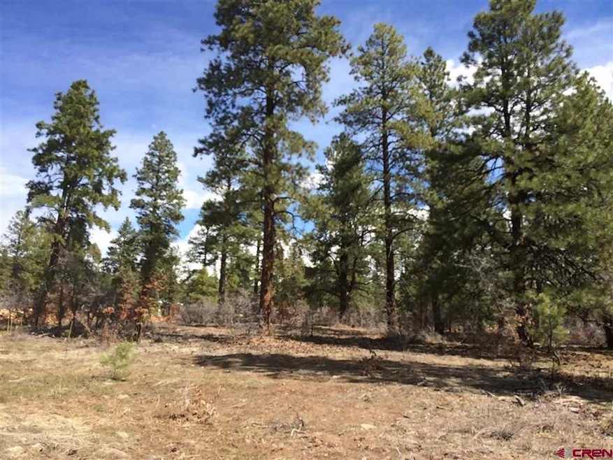 0 Engine Creek Ct unit 731546, Durango, CO 81301 - photo 1