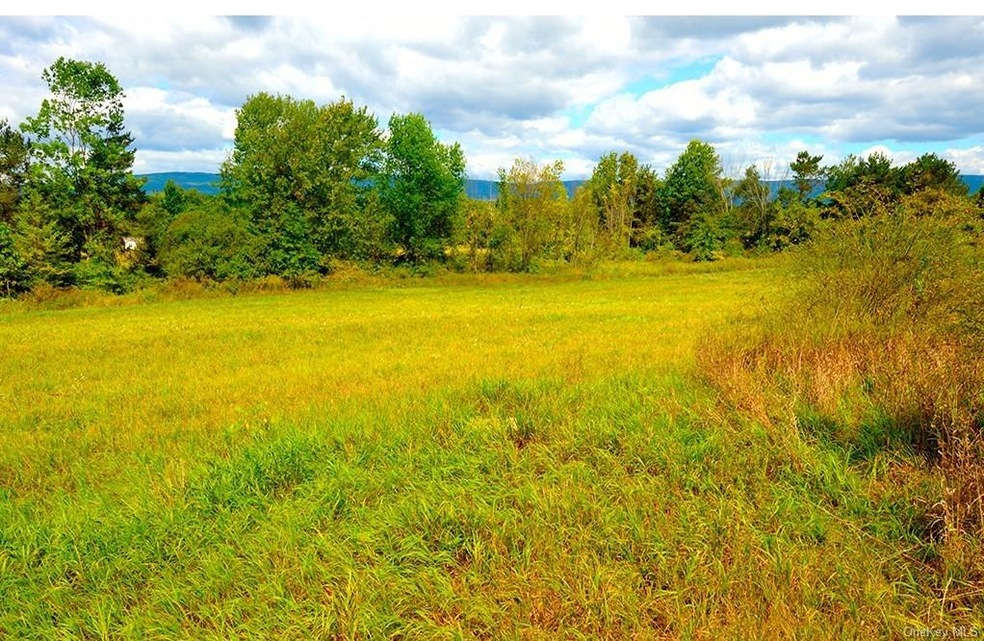 59 Alice Ct, Pine Bush, NY 12566 - photo 1