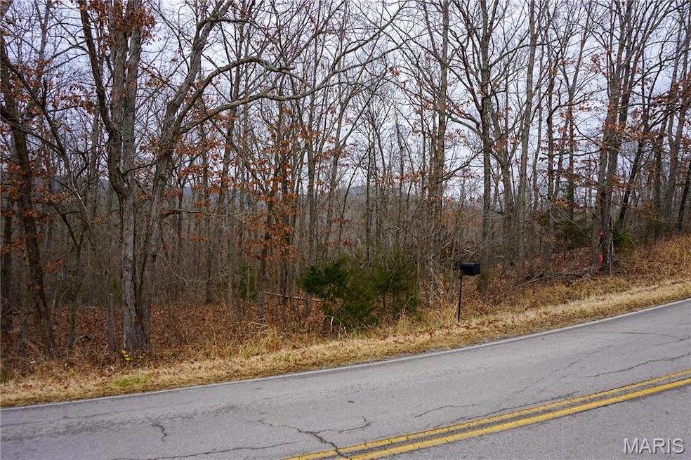 Tract B State Route Y, Dixon, MO 65459 - photo 1