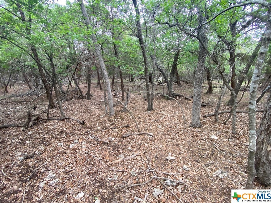 5303 Comanche Dr, Temple, TX 76502 - photo 1