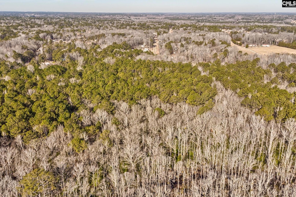 50 Thorn Way, Elgin, SC 29045 - photo 1