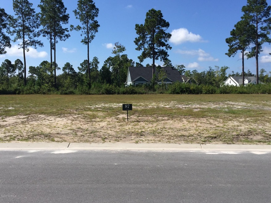 1377 Cross Water Cir, Leland, NC 28451 - photo 1