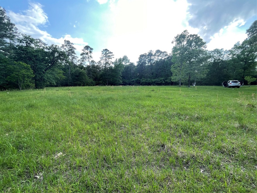 31111 Sugar Bend Dr, Magnolia, TX 77355 - photo 1