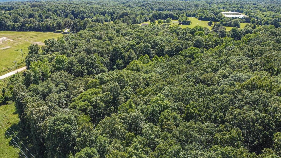 0N of County Road 474, Poplar Bluff, MO 63901 - photo 1