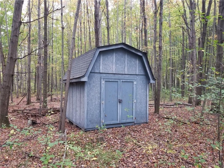 Shed.jpeg