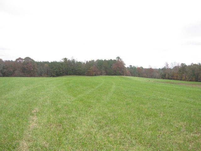 80 Ac Mayflower Rd, Kenbridge, VA 23944 - photo 1