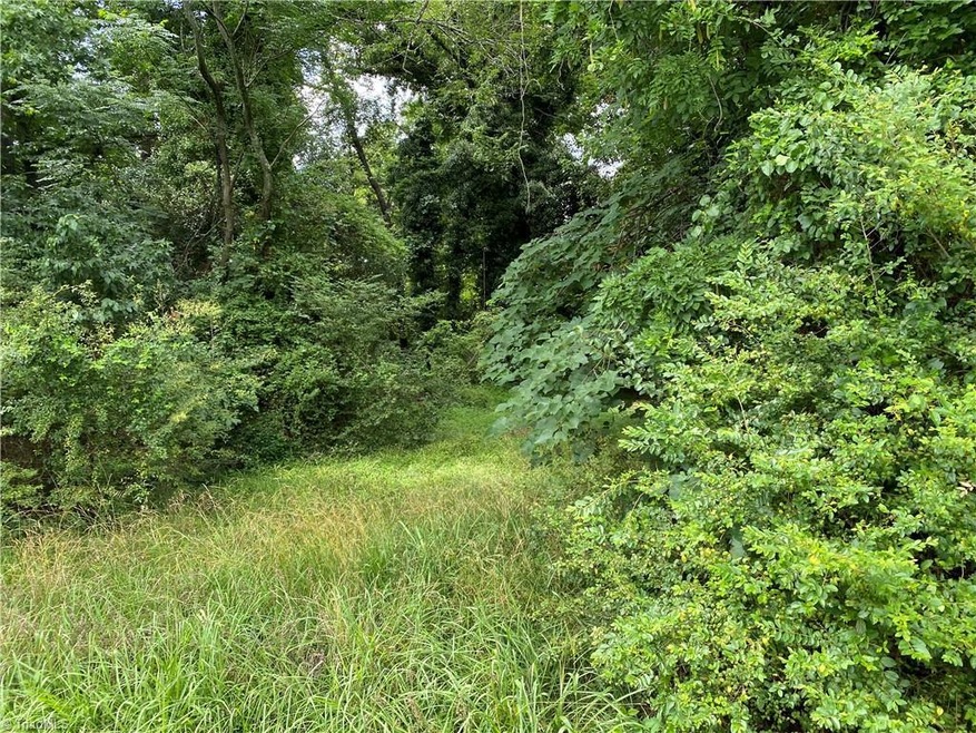 0 Playground Rd unit Tract 2 1032273, Archdale, NC 27263 - photo 1