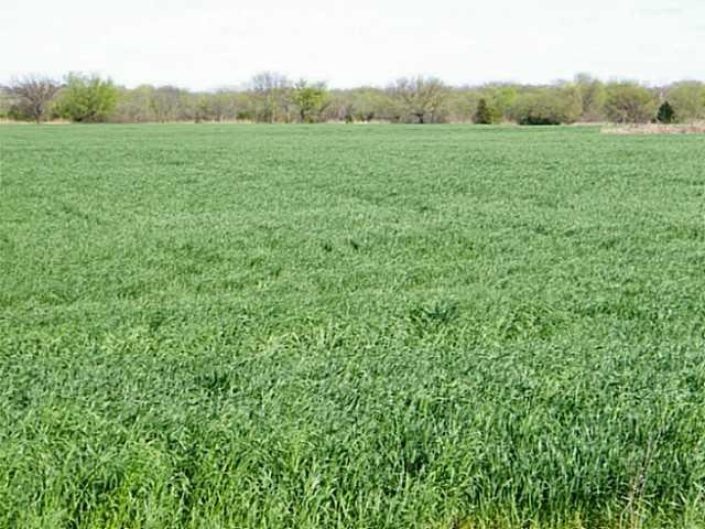 24224 N Meridian Ave, Edmond, OK 73025 - photo 1