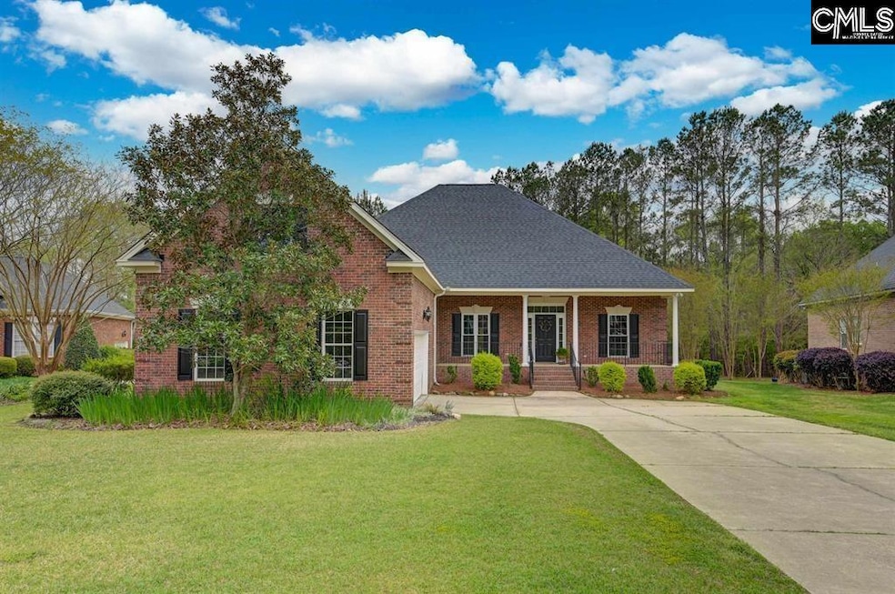 14 Hilton Glen Ct, Chapin, SC 29036 - photo 1