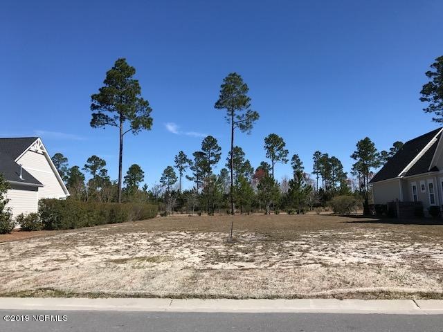 1388 Cross Water Cir, Leland, NC 28451 - photo 1