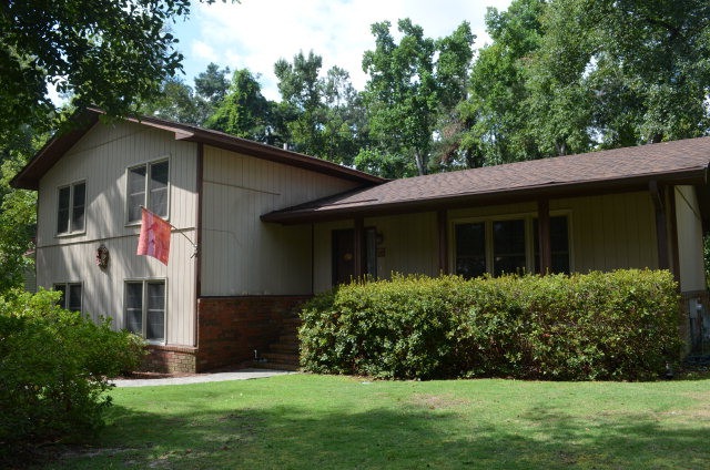 Main View
