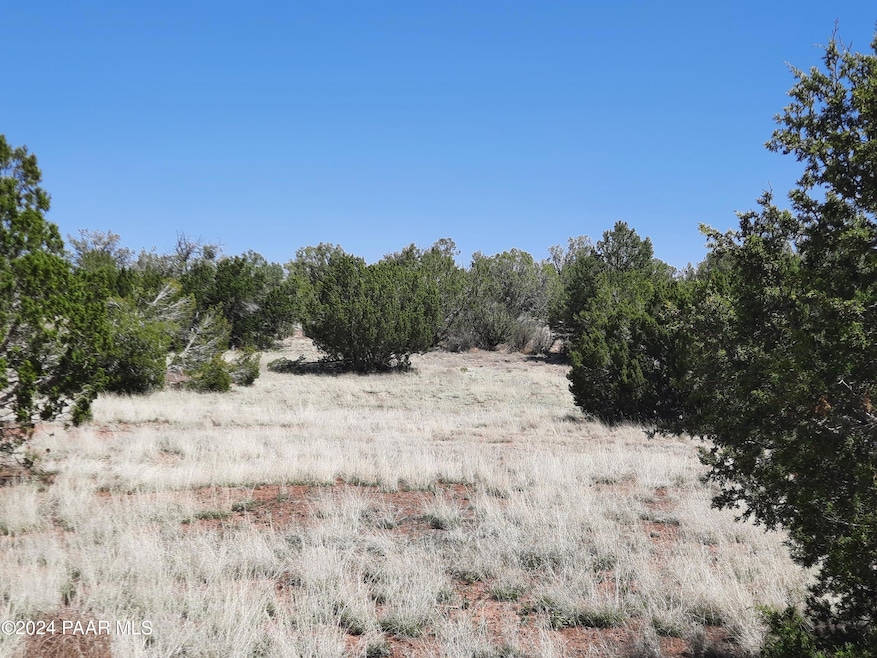 56673 N La Carro Ln, Seligman, AZ 86337 - photo 1