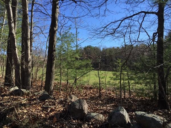 1 Williams St, Wrentham, MA 02093 - photo 1