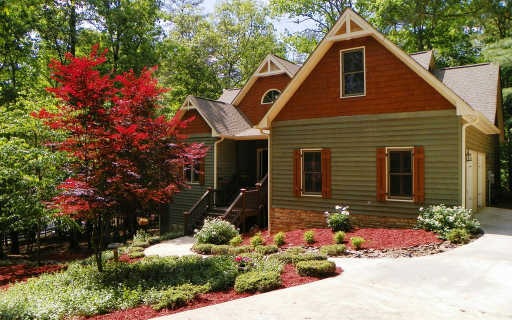 Main View