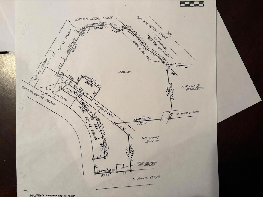 000 Old Cameron Rd, Orangeburg, SC 29115 - photo 1