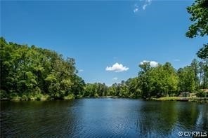 1200 Shannon Mill Dr, Reedy Church, VA 22546 - photo 1