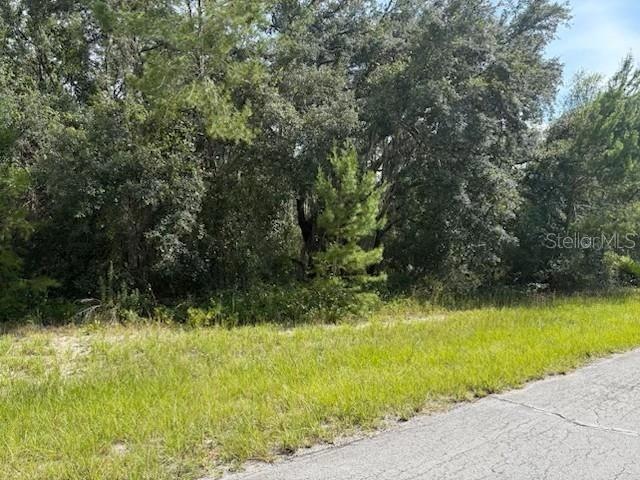 unlisted-address, Out of Area Town, FL 34473 - photo 1