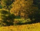 rolling acreage