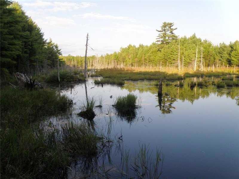Land/Lot. Very pretty flowage/pond...