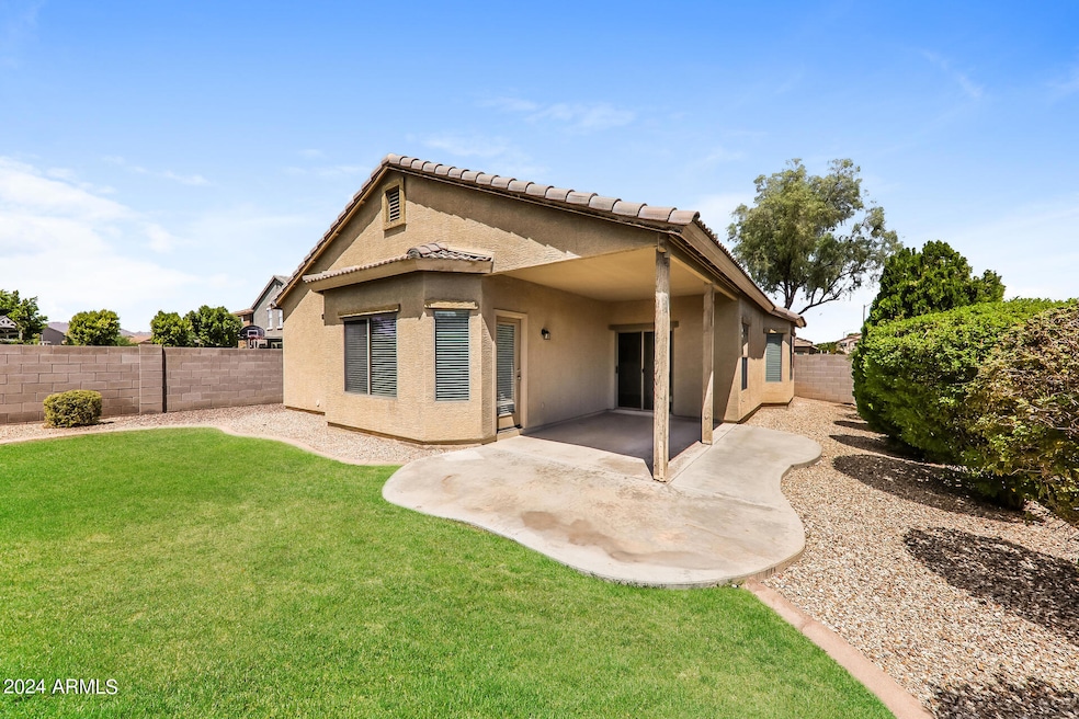 019-photo-rear-view-13973637