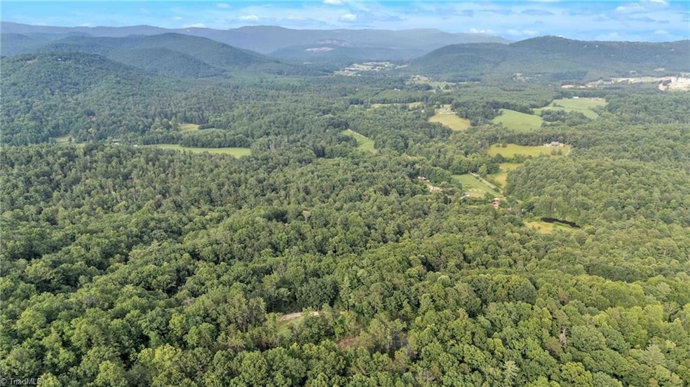 0 Bell Mountain Rd unit 1188541, Walnut Grove, NC 28635 - photo 1