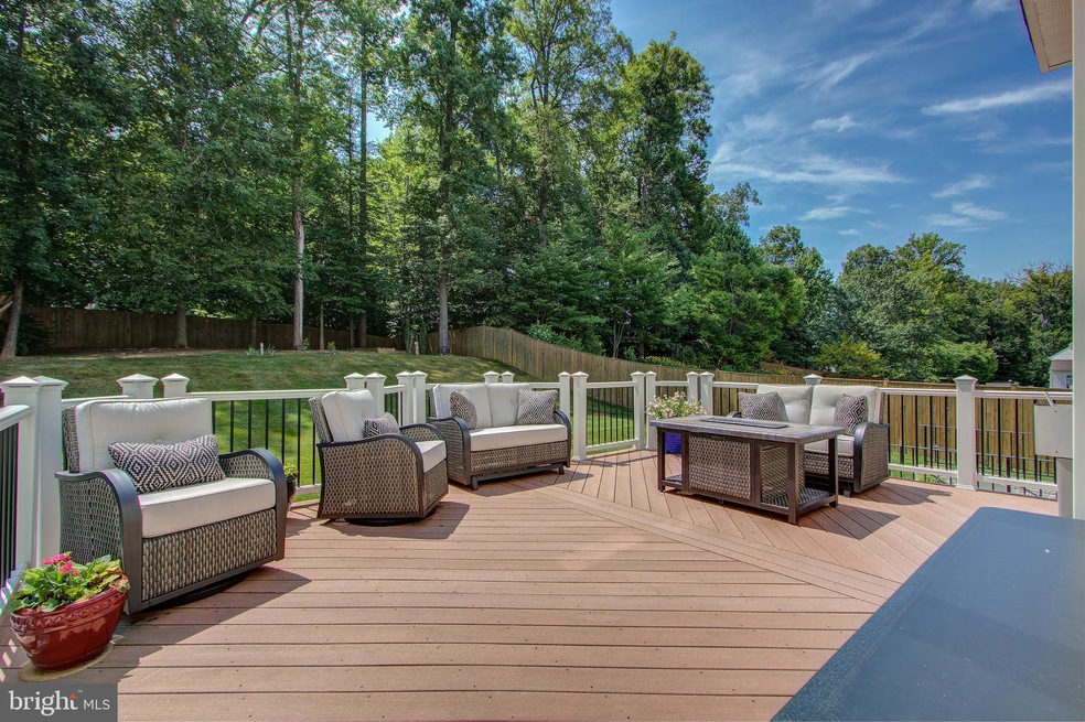 14139 Baneberry Cir, Manassas, VA 20112 - photo 1