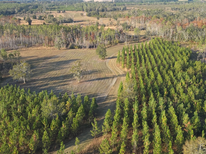 5150 Cr 405, Branford, FL 32008 - photo 1