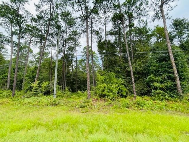 Tract 1 U S 319, Tifton, GA 31794 - photo 1